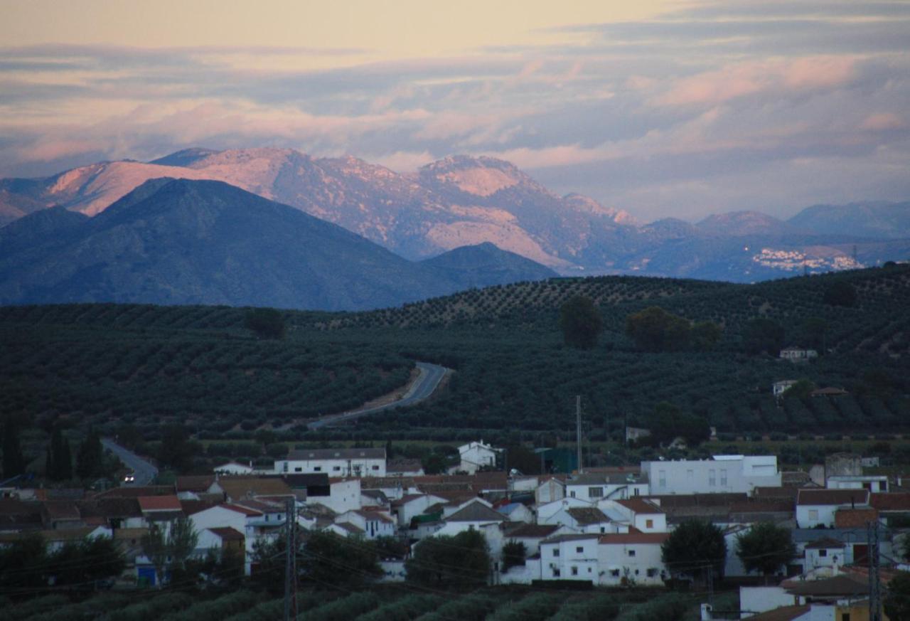 Casa Olivar B&B Tocon Eksteriør bilde